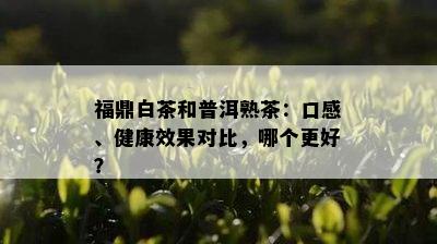 福鼎白茶和普洱熟茶：口感、健康效果对比，哪个更好？