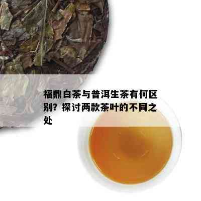 福鼎白茶与普洱生茶有何区别？探讨两款茶叶的不同之处