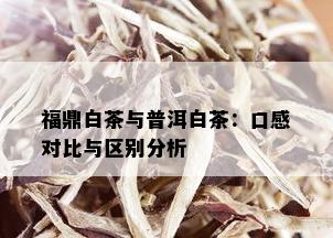 福鼎白茶与普洱白茶：口感对比与区别分析