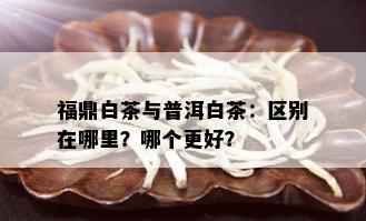 福鼎白茶与普洱白茶：区别在哪里？哪个更好？