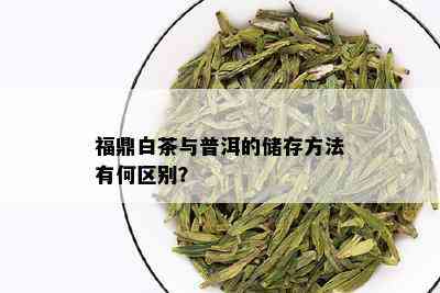 福鼎白茶与普洱的储存方法有何区别？