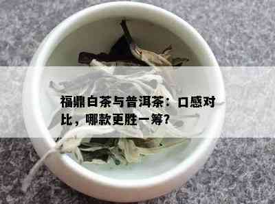 福鼎白茶与普洱茶：口感对比，哪款更胜一筹？