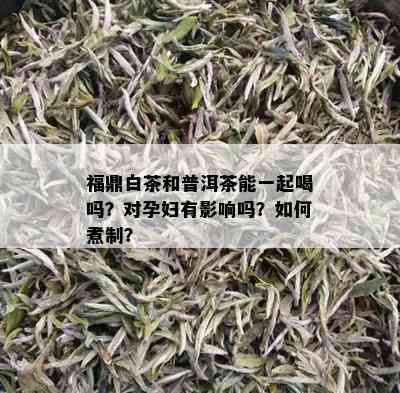 福鼎白茶和普洱茶能一起喝吗？对孕妇有影响吗？如何煮制？