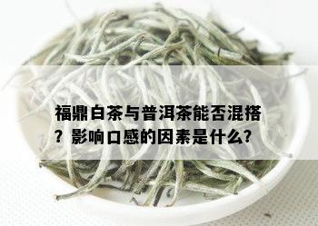 福鼎白茶与普洱茶能否混搭？影响口感的因素是什么？