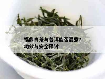 福鼎白茶与普洱能否混煮？功效与安全探讨