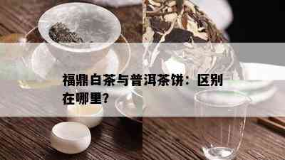 福鼎白茶与普洱茶饼：区别在哪里？