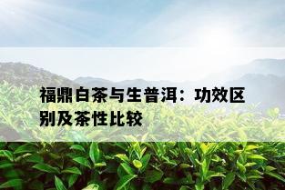 福鼎白茶与生普洱：功效区别及茶性比较