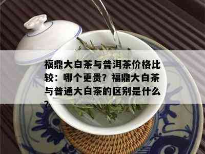 福鼎大白茶与普洱茶价格比较：哪个更贵？福鼎大白茶与普通大白茶的区别是什么？