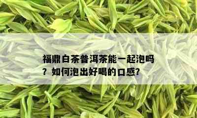 福鼎白茶普洱茶能一起泡吗？如何泡出好喝的口感？