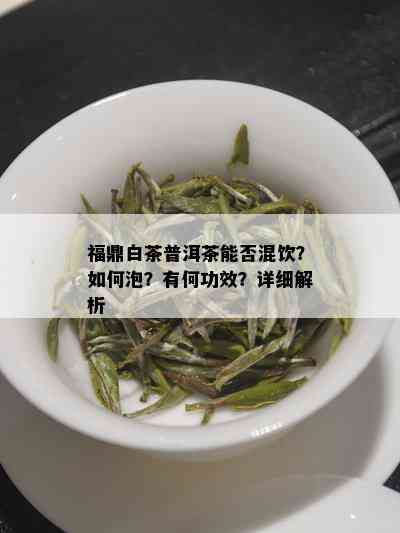 福鼎白茶普洱茶能否混饮？如何泡？有何功效？详细解析