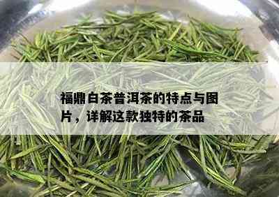 福鼎白茶普洱茶的特点与图片，详解这款独特的茶品