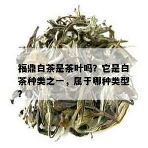 福鼎白茶是茶叶吗？它是白茶种类之一，属于哪种类型？