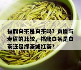 福鼎白茶是白茶吗？贡眉与寿眉的比较，福鼎白茶是白茶还是绿茶或红茶？