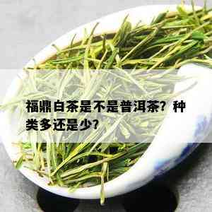 福鼎白茶是不是普洱茶？种类多还是少？