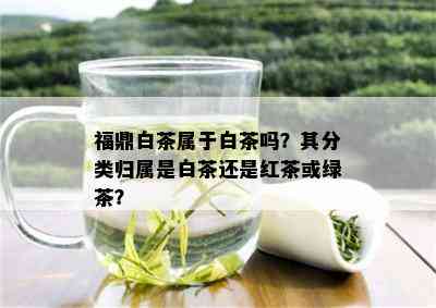 福鼎白茶属于白茶吗？其分类归属是白茶还是红茶或绿茶？