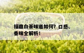 福鼎白茶味道如何？口感、香味全解析！