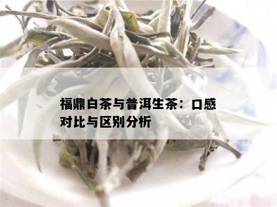 福鼎白茶与普洱生茶：口感对比与区别分析