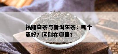 福鼎白茶与普洱生茶：哪个更好？区别在哪里？