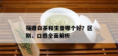 福鼎白茶和生普哪个好？区别、口感全面解析