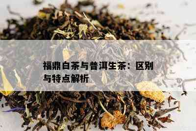 福鼎白茶与普洱生茶：区别与特点解析