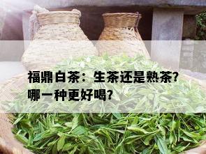 福鼎白茶：生茶还是熟茶？哪一种更好喝？