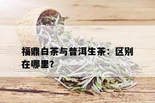 福鼎白茶与普洱生茶：区别在哪里？