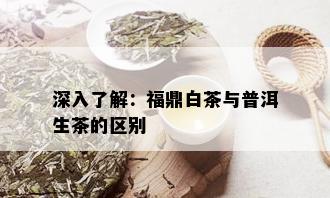 深入了解：福鼎白茶与普洱生茶的区别