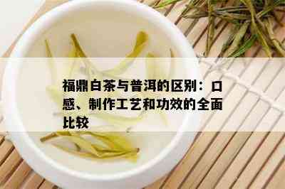 福鼎白茶与普洱的区别：口感、制作工艺和功效的全面比较