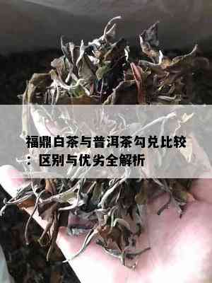 福鼎白茶与普洱茶勾兑比较：区别与优劣全解析