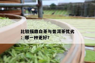 比较福鼎白茶与普洱茶优劣：哪一种更好？