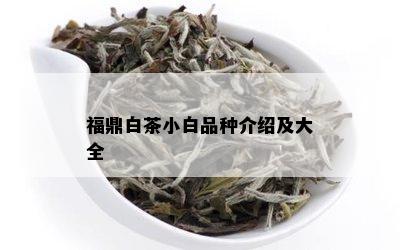 福鼎白茶小白品种介绍及大全