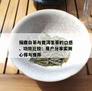 福鼎白茶与普洱生茶的口感、功效比较：用户分享实测心得与推荐