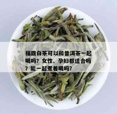 福鼎白茶可以和普洱茶一起喝吗？女性、孕妇都适合吗？能一起煮着喝吗？