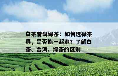 白茶普洱绿茶：如何选择茶具，是否能一起泡？了解白茶、普洱、绿茶的区别