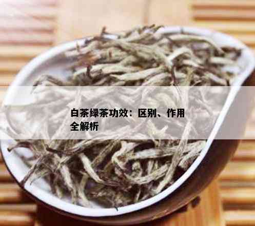 白茶绿茶功效：区别、作用全解析