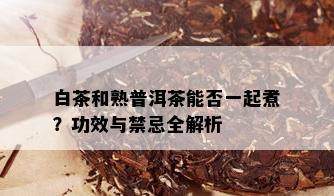 白茶和熟普洱茶能否一起煮？功效与禁忌全解析