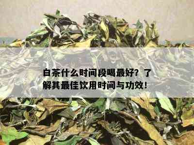 白茶什么时间段喝更好？了解其更佳饮用时间与功效！