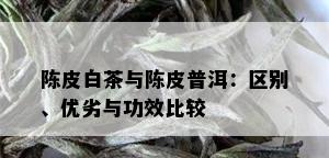 陈皮白茶与陈皮普洱：区别、优劣与功效比较