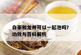 白茶和龙井可以一起泡吗？功效与百科解析