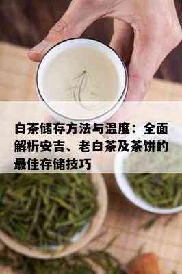 白茶储存方法与温度：全面解析安吉、老白茶及茶饼的更佳存储技巧