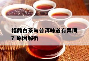 福鼎白茶与普洱味道有异同？原因解析