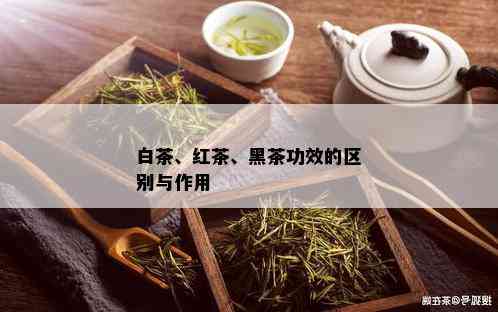 白茶、红茶、黑茶功效的区别与作用