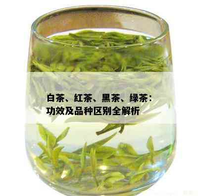 白茶、红茶、黑茶、绿茶：功效及品种区别全解析