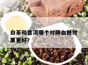 白茶和普洱哪个对降血糖效果更好？