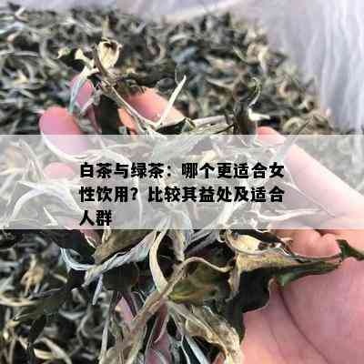 白茶与绿茶：哪个更适合女性饮用？比较其益处及适合人群