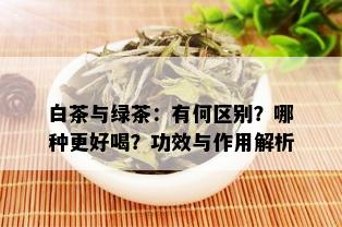 白茶与绿茶：有何区别？哪种更好喝？功效与作用解析