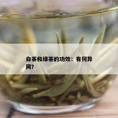 白茶和绿茶的功效：有何异同？