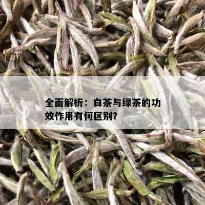 全面解析：白茶与绿茶的功效作用有何区别？