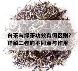 白茶与绿茶功效有何区别？详解二者的不同点与作用