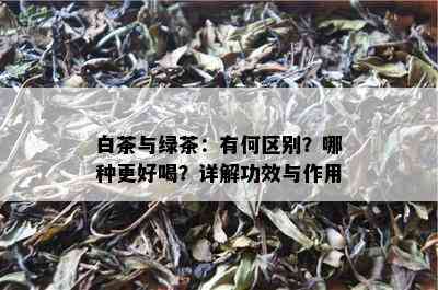 白茶与绿茶：有何区别？哪种更好喝？详解功效与作用